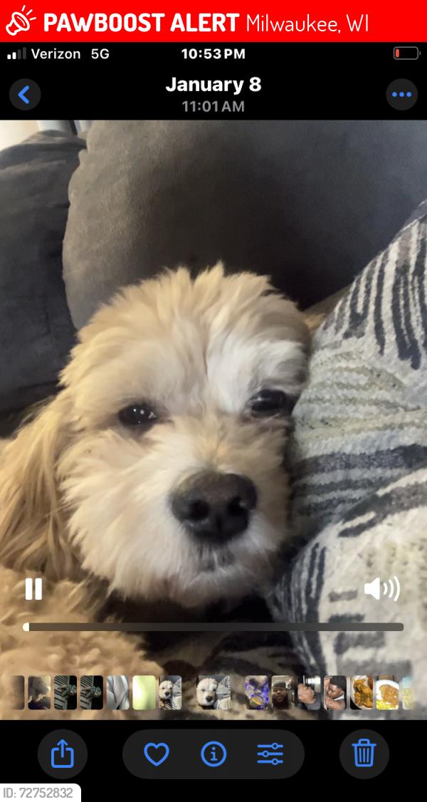 Lost Male Dog last seen Bourbon Beale, Milwaukee, WI 53224