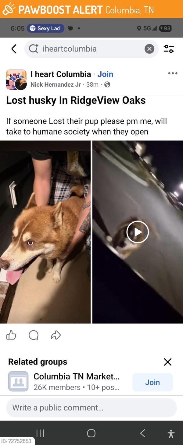 Found/Stray Male Dog last seen Echo Ridge rd , Columbia, TN 38401