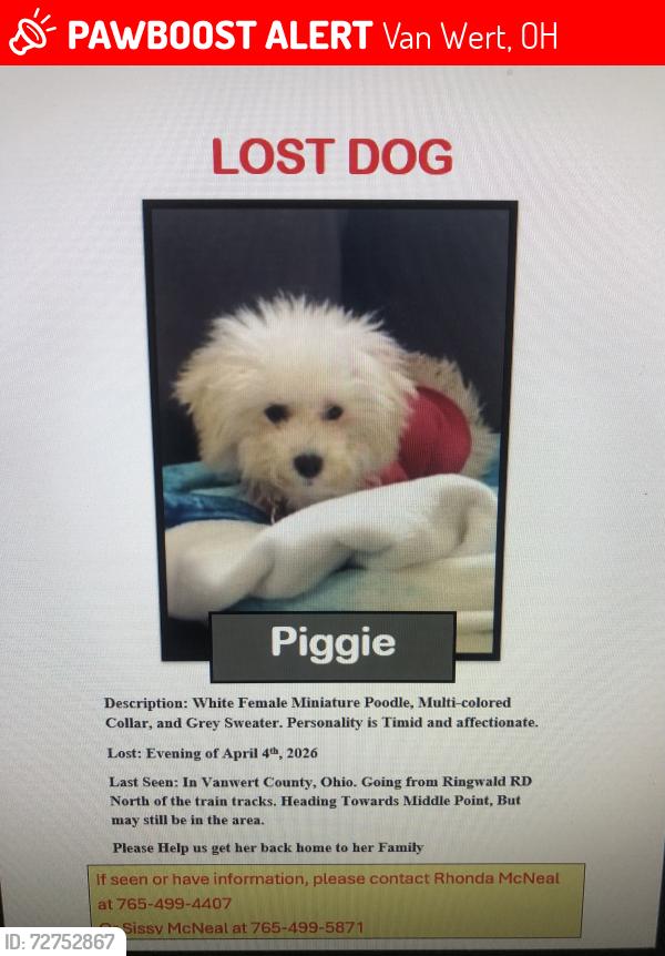 Lost Female Dog last seen Ringwald Road north of railroad tracks , Van Wert, OH 45891