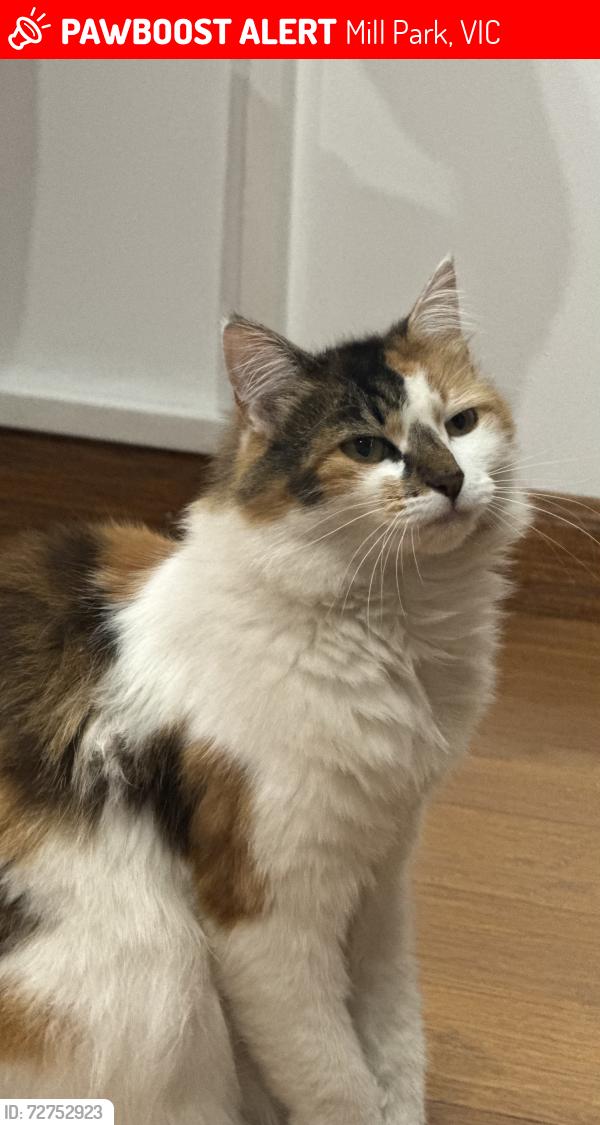 Lost Female Cat last seen Charlotte Road, Mill Park, VIC 3082
