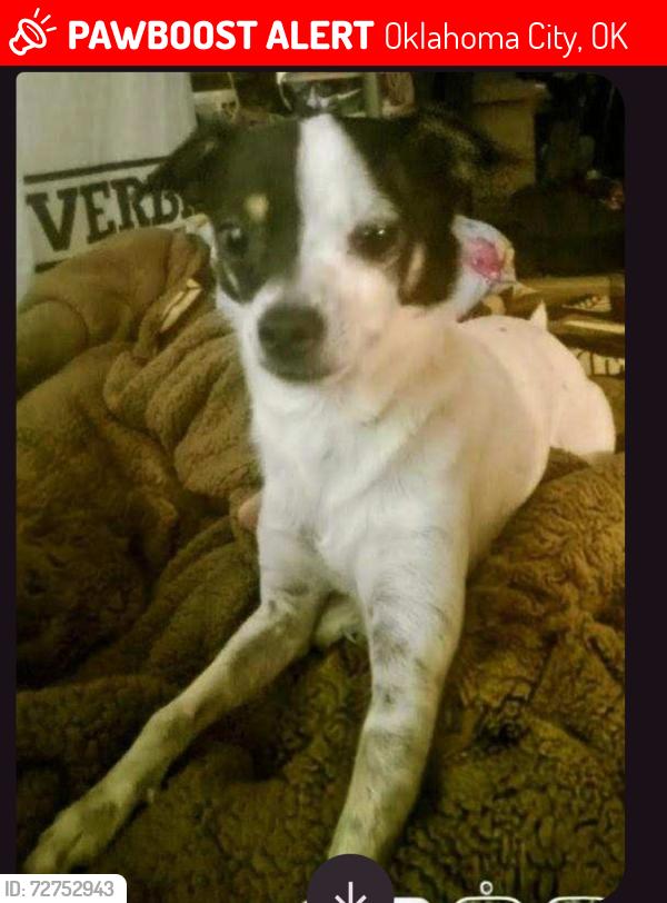Lost Male Dog last seen Kacey's I-35 & n. E. 36th st , Oklahoma City, OK 73105