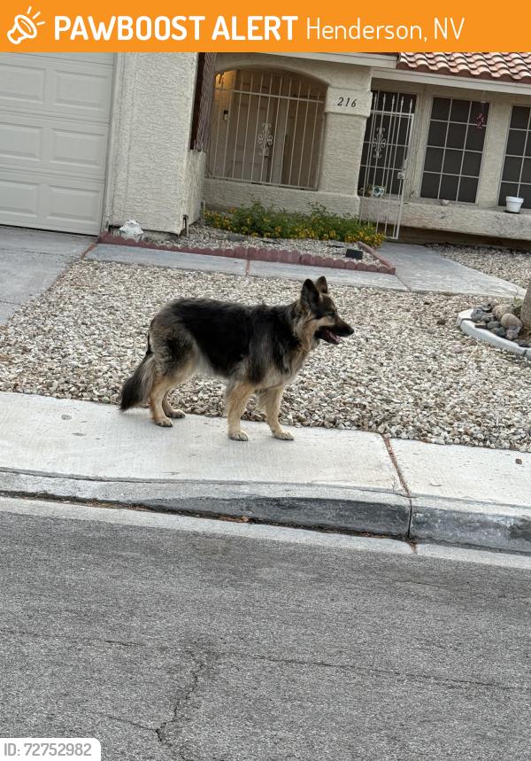 Found/Stray Unknown Dog last seen Valle verde & Tomahawk, Henderson, NV 89074