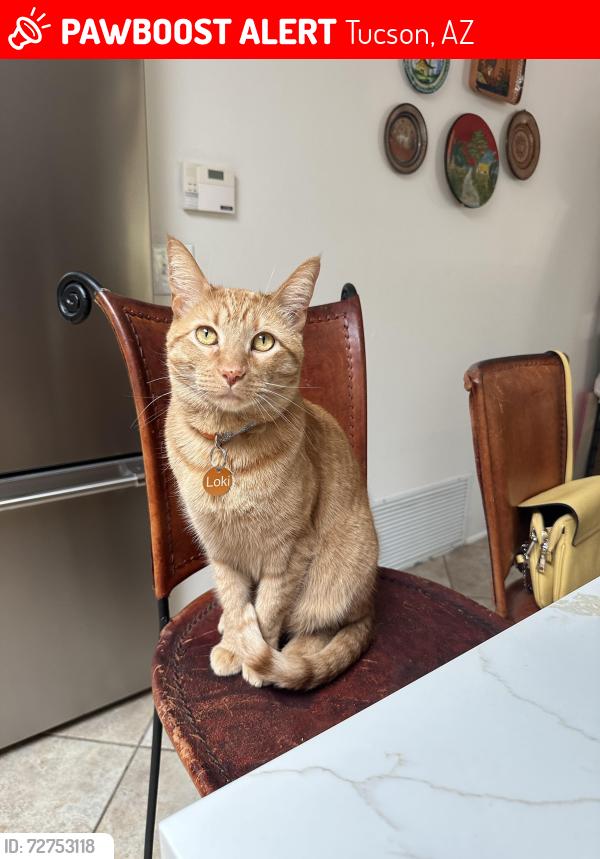 Lost Male Cat last seen Sabino vista drive , Tucson, AZ 85750