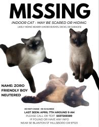 Lost Male Cat last seen Se Blanton st Hillsboro or 97123, Hillsboro, OR 97123