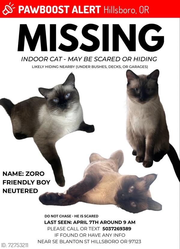 Lost Male Cat last seen Se Blanton st Hillsboro or 97123, Hillsboro, OR 97123