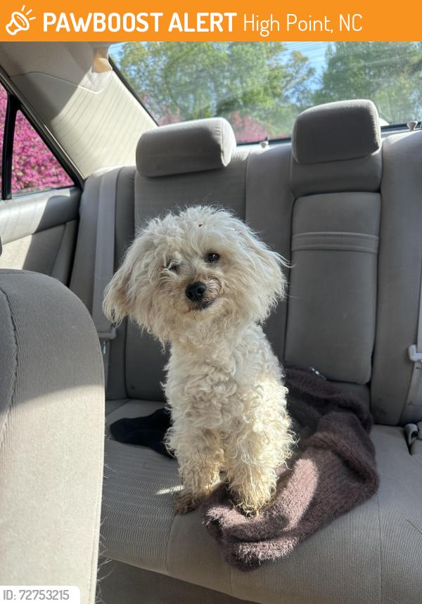 Found/Stray Unknown Dog last seen Quarter Path Ln, High Point, NC 27265