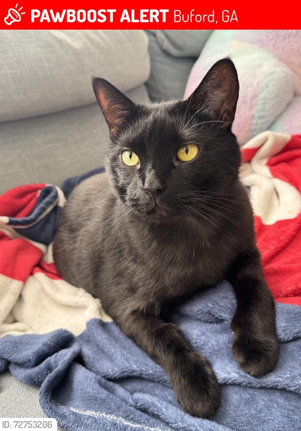 Lost Female Cat last seen near Rivers End Pl, Buford, GA 30519