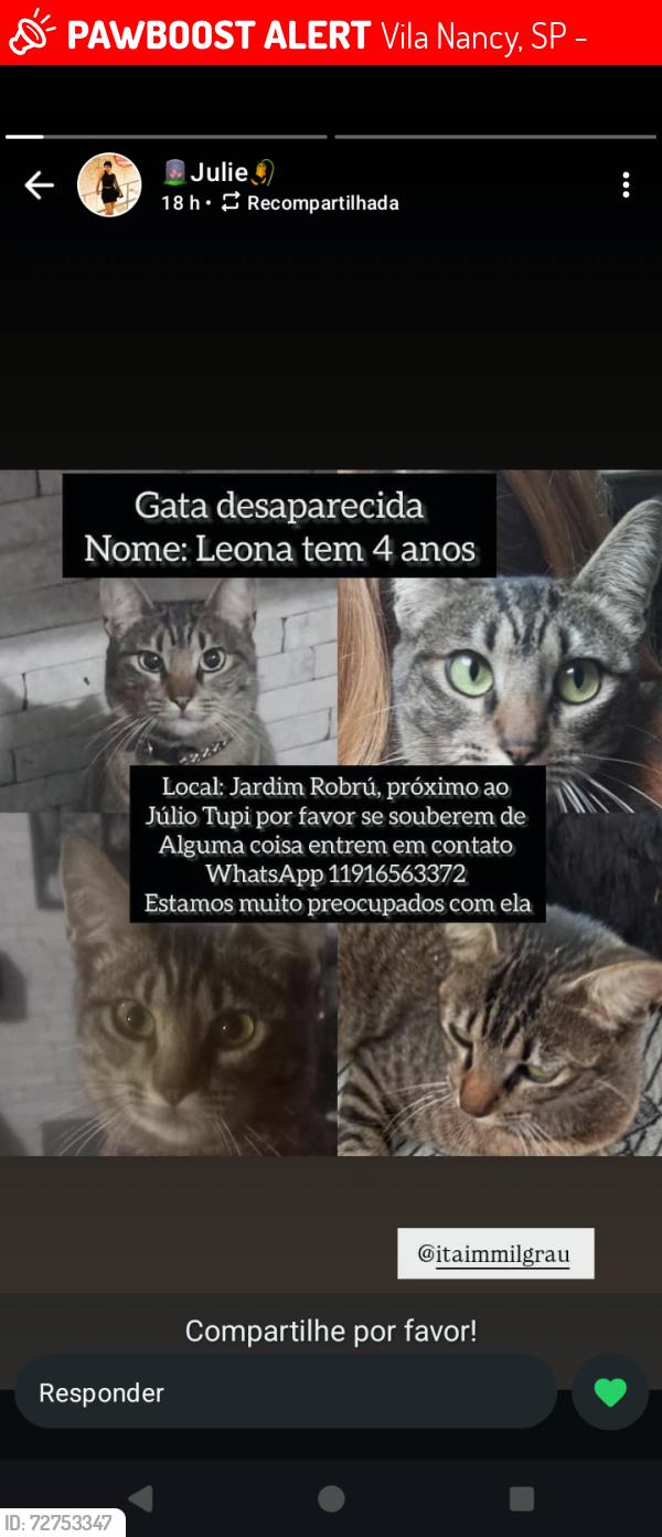 Lost Female Cat last seen Próximo ao julio tupi, Vila Nancy, SP 08440-261