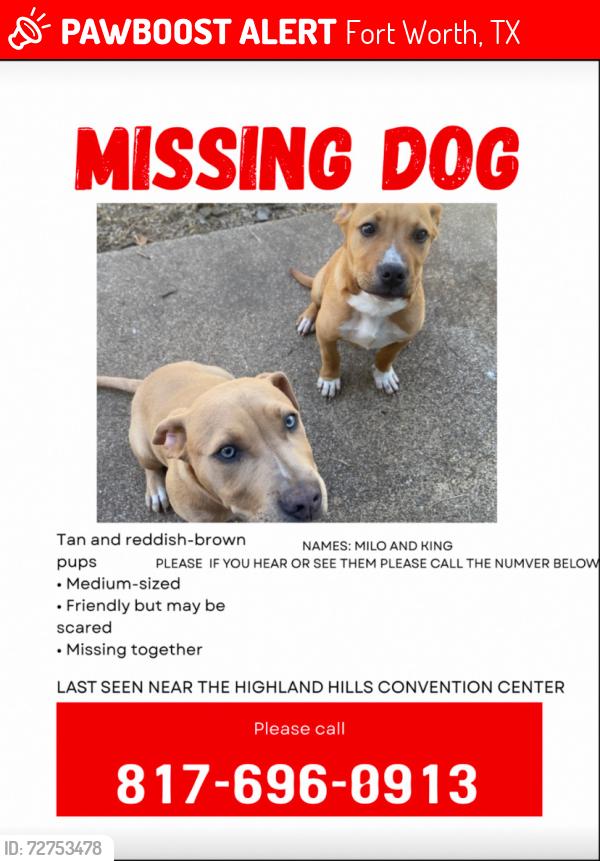 Lost Male Dog last seen Near gladgow rd, Fort Worth, TX 76134