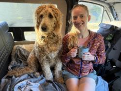 Lost Male Dog last seen Near jurs rd, West Point CA  95255, West Point, CA 95255