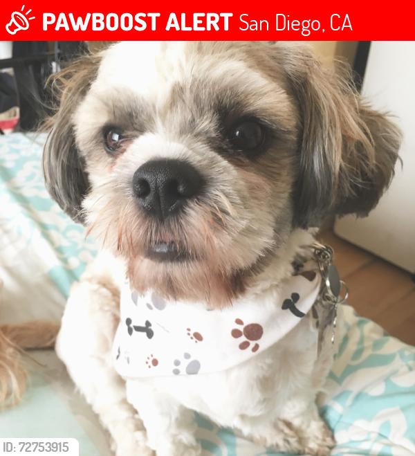 Lost Male Dog last seen Canis Lane and Dewsbury, San Diego, CA 92126