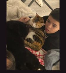 Lost Female Cat last seen Kinser Ave. Ceres, Ca, Ceres, CA 95307