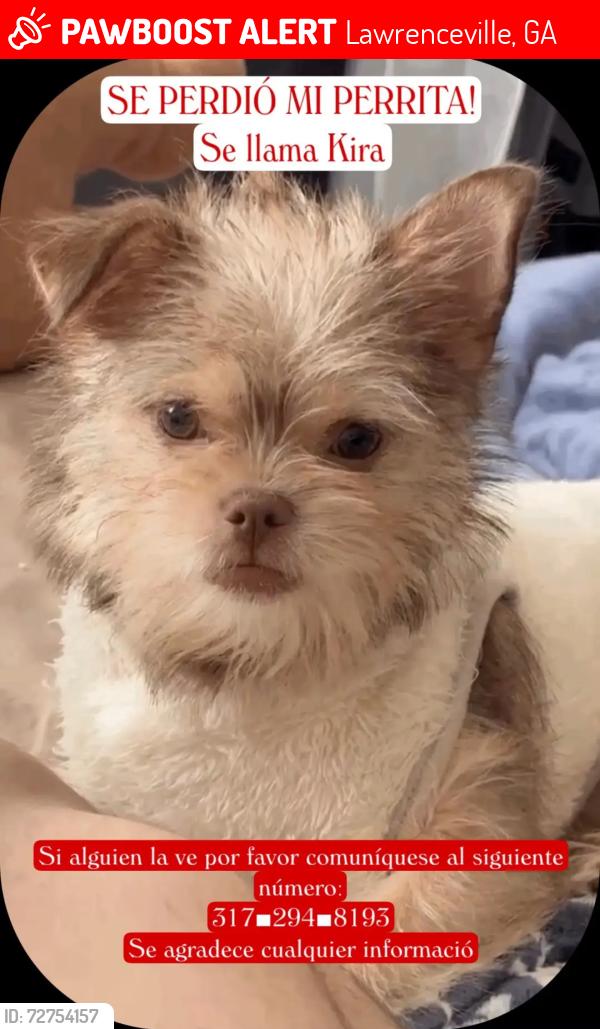 Lost Female Dog last seen Lawrenceville, GA  30044 United States, Lawrenceville, GA 30044