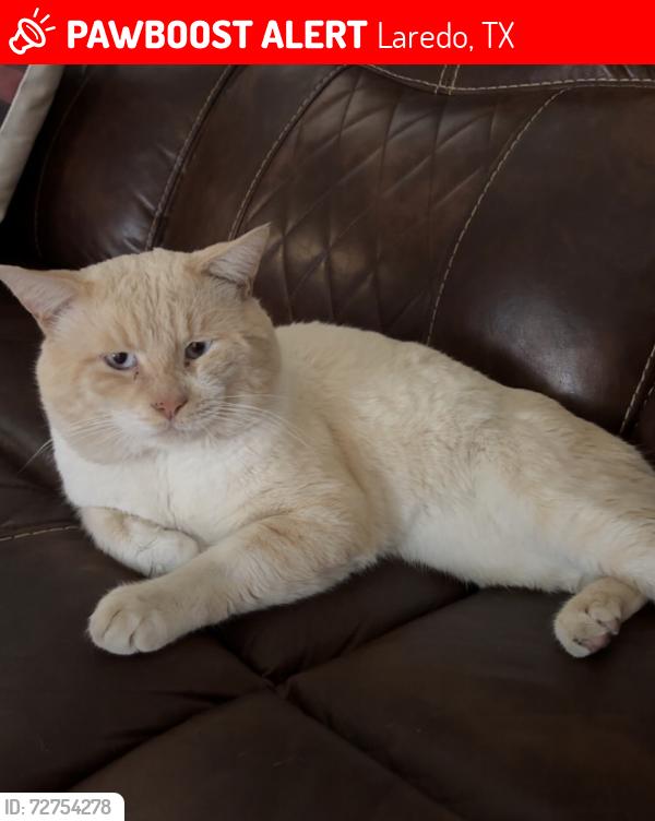 Lost Male Cat last seen La Bota Ranch, Laredo, TX 78045