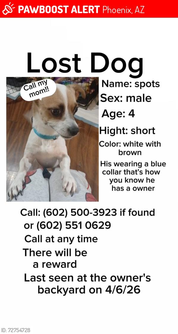 Lost Male Dog last seen Peoria and 15th ave, Phoenix, AZ 85021