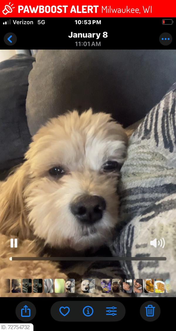 Lost Male Dog last seen 103rd fond du lac, Milwaukee, WI 53224