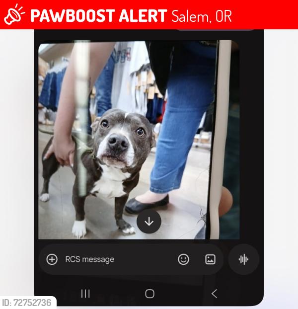 Lost Female Dog last seen Ricky St., Southeast, Salem, OR 97317