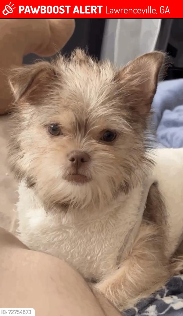 Lost Female Dog last seen Clud drive con please Hill , Lawrenceville, GA 30044