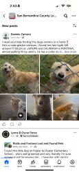 Found/Stray Male Dog last seen Jurupa And Calabash, Fontana, CA 92335