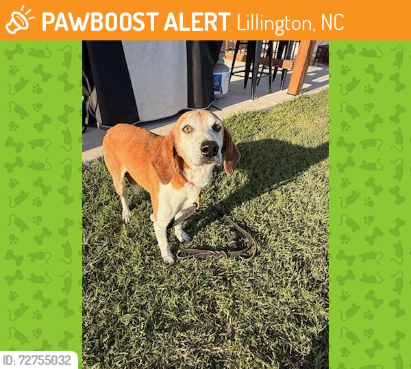 Found/Stray Male Dog last seen Neills Creek at pleasant union church, Lillington, NC 27506