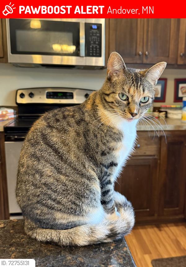 Found/Stray Female Cat last seen Near 162nd Ave NW, Andover, MN 55304