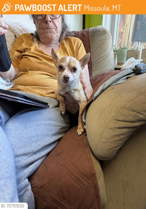 Found/Stray Male Dog last seen Blaine and Franklin, Missoula, MT 59801