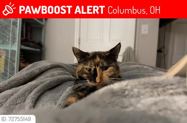 Lost Female Cat last seen Parsons avenue, Columbus, OH 43207