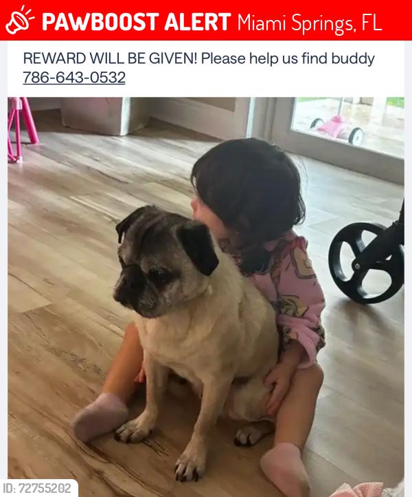 Lost Male Dog last seen Linwood going east towards westward , Miami Springs, FL 33010