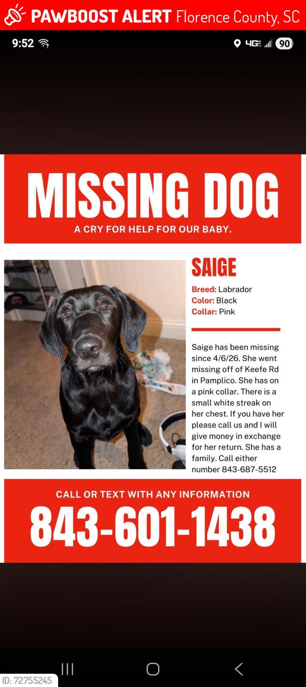 Lost Female Dog last seen Keefe rd pamplico sc, Florence County, SC 29583