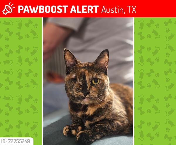 Lost Female Cat last seen MAA Brodie Ln apmts, Austin, TX 78745