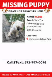 Lost Male Dog last seen Orly tetranc , College Park, GA 30349