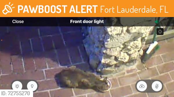 Found/Stray Unknown Cat last seen Bayview Drive & US1, Fort Lauderdale, FL 33308