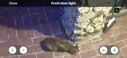 Found/Stray Unknown Cat last seen Bayview Drive & US1, Fort Lauderdale, FL 33308