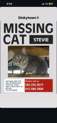Lost Unknown Cat last seen Dinkytown/Marcy Area near 600 11th Ave SE, Minneapolis, MN 55414