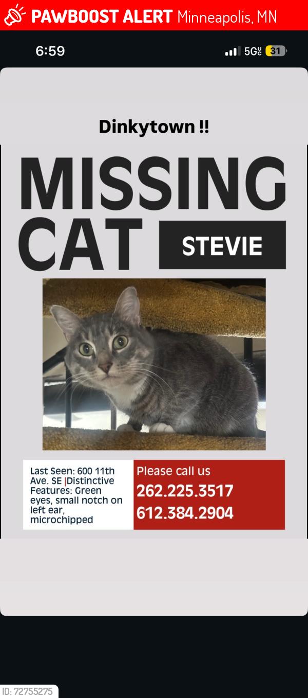 Lost Unknown Cat last seen Dinkytown/Marcy Area near 600 11th Ave SE, Minneapolis, MN 55414