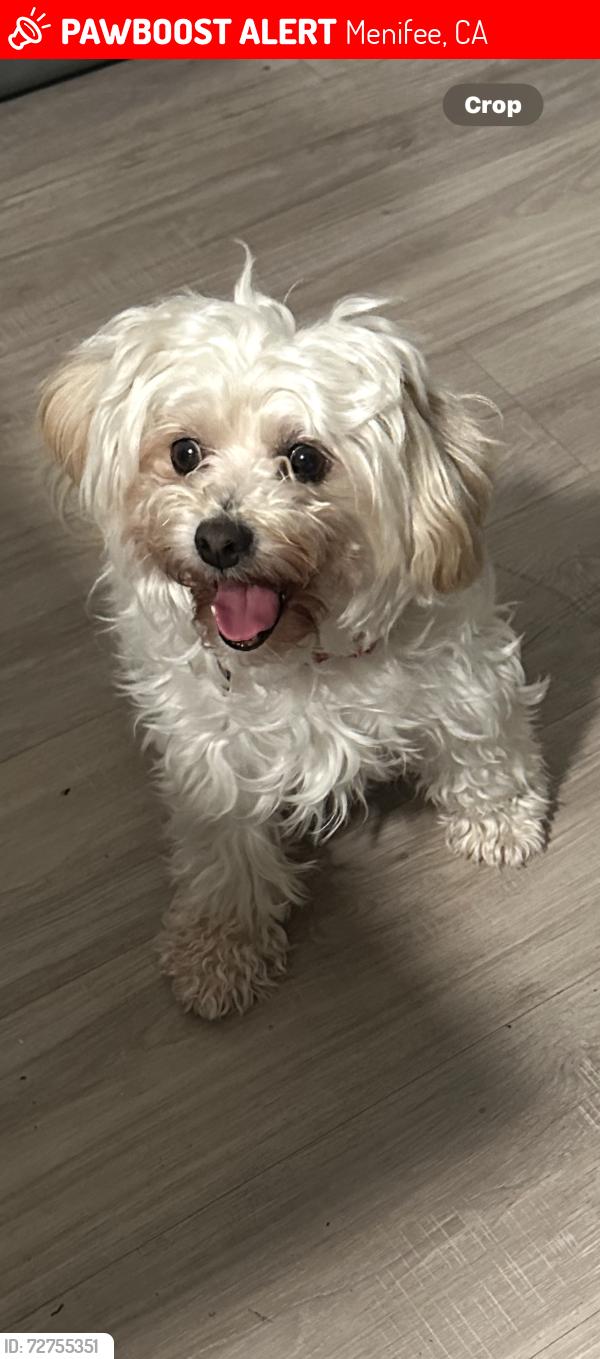 Lost Male Dog last seen Wicker road and el centro lane, Menifee, CA 92584
