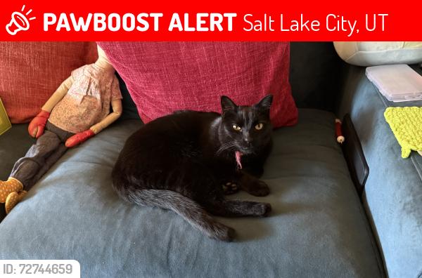 Lost Male Cat last seen Three Fountains East condos off of 9th East in Murray, Salt Lake City, UT 84117
