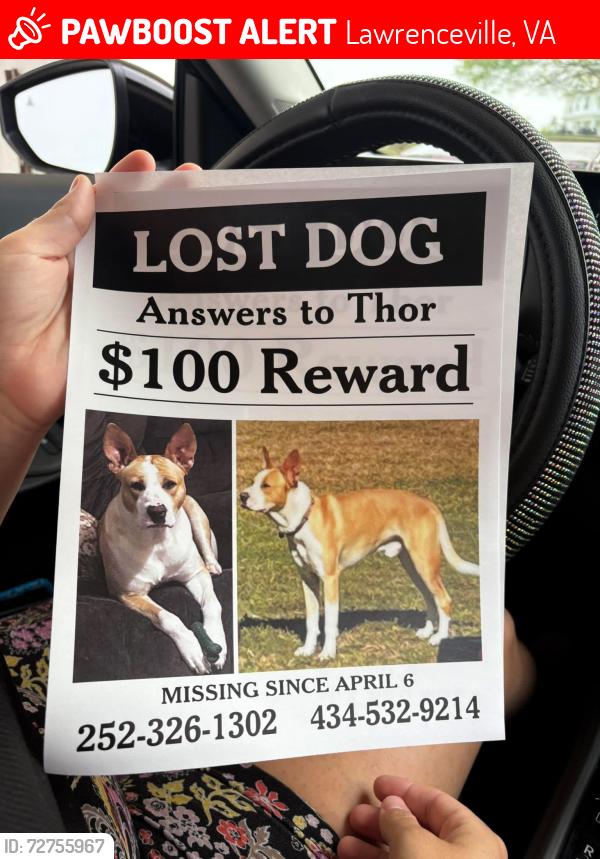 Lost Male Dog last seen Christianna hwy, Lawrenceville, VA 23868