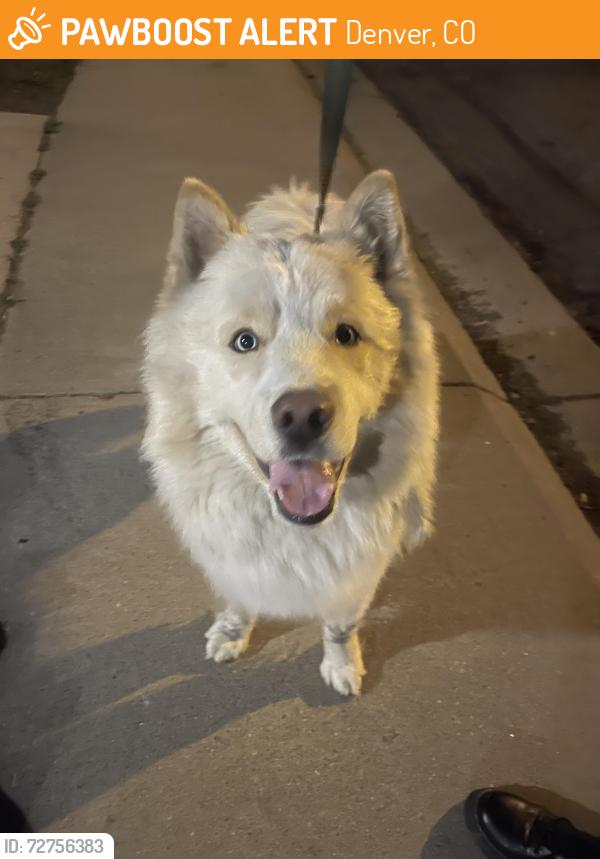 Found/Stray Male Dog last seen Riverdale, Denver, CO 80229
