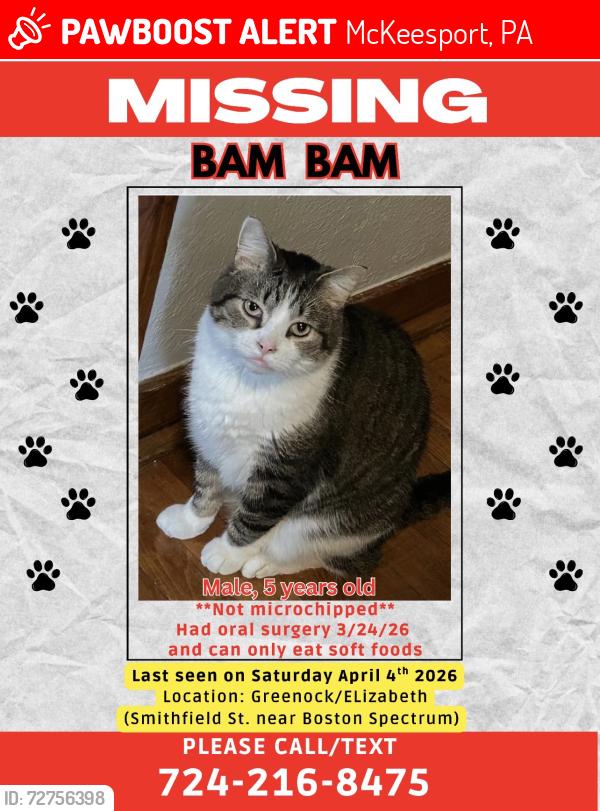 Lost Male Cat last seen Near Smithfield St., McKeesport, PA 15135, McKeesport, PA 15135
