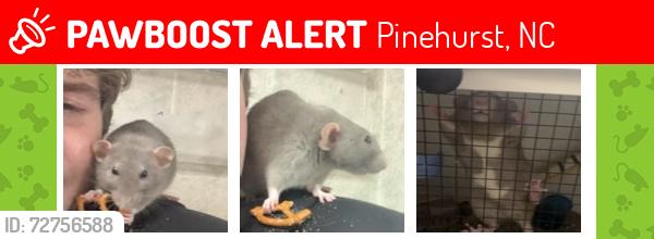 Lost Female Other last seen Near Doral dr, Pinehurst, NC 28374