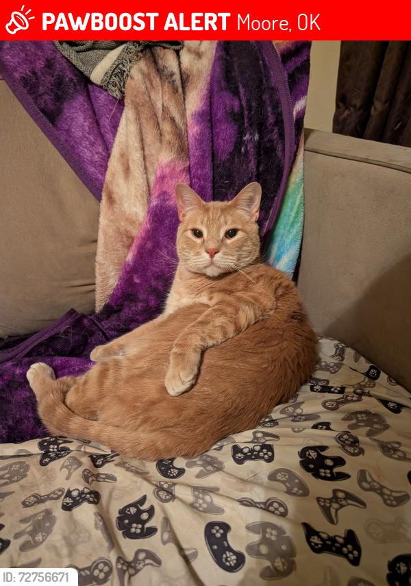 Lost Male Cat last seen 34th and Eastern, Moore, OK 73160