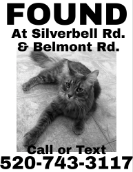 Found/Stray Female Cat last seen N. Silverbell Rd. & W. Belmont Rd., Pima County, AZ 85743