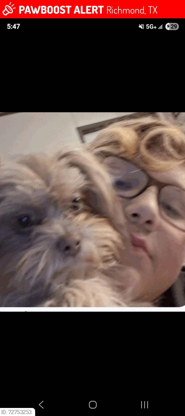 Lost Female Dog last seen Near jeb stuart richmond tx 77469, Richmond, TX 77469