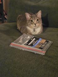 Lost Female Cat last seen Encanto Pkwy and Hacienda, Duarte, CA 91010