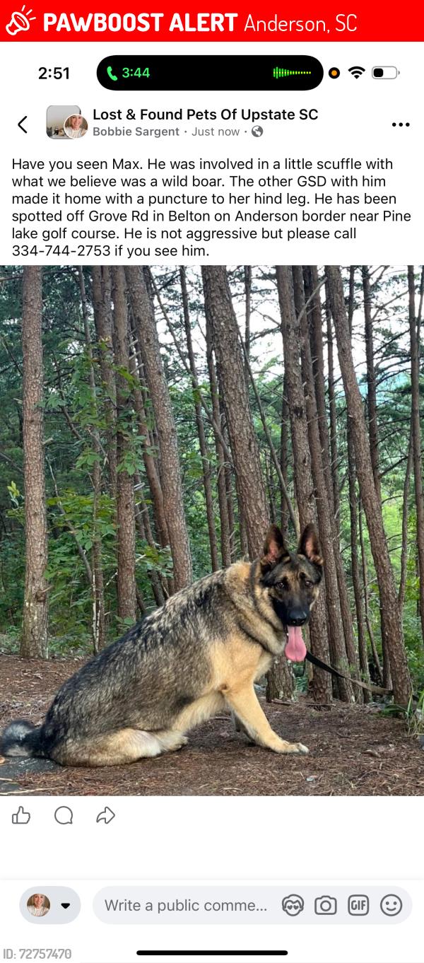Lost Male Dog last seen Grove rd, Anderson, SC 29621
