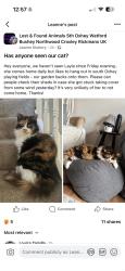Lost Female Cat last seen Fulford Grove, , England WD19