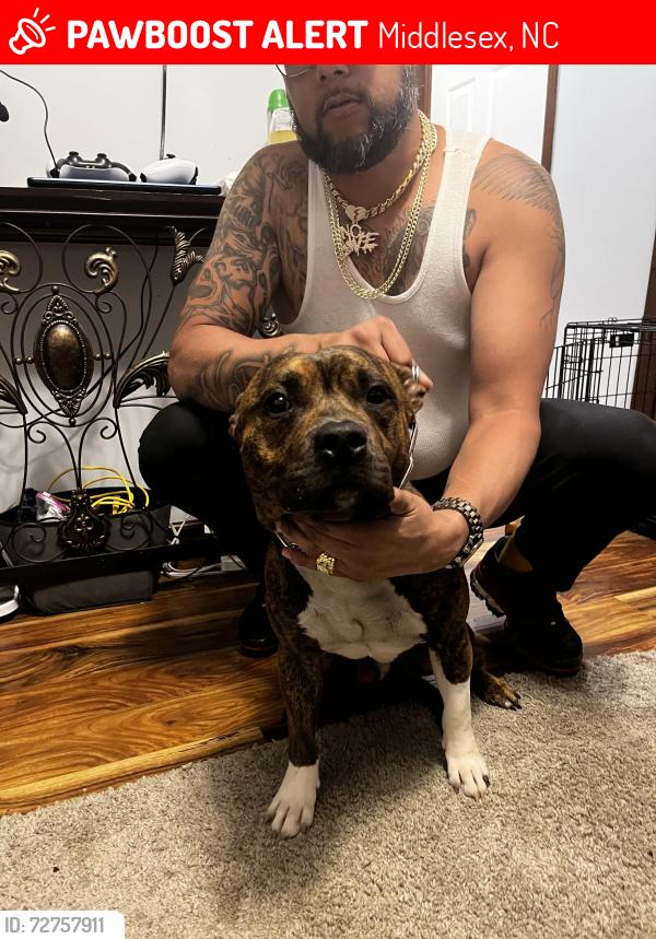 Lost Male Dog last seen Near Barnes rd midde North Carolina , Middlesex, NC 27557