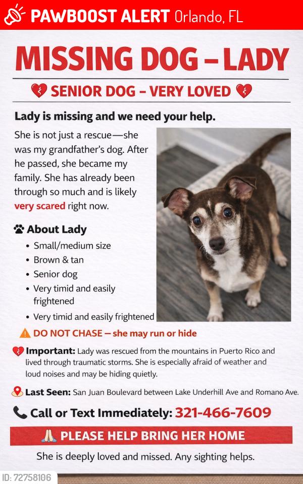 Lost Female Dog last seen Between Lake Underhill Rd and Romano Ave, Orlando, FL 32807