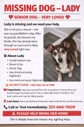Lost Female Dog last seen Between Lake Underhill Rd and Romano Ave, Orlando, FL 32807